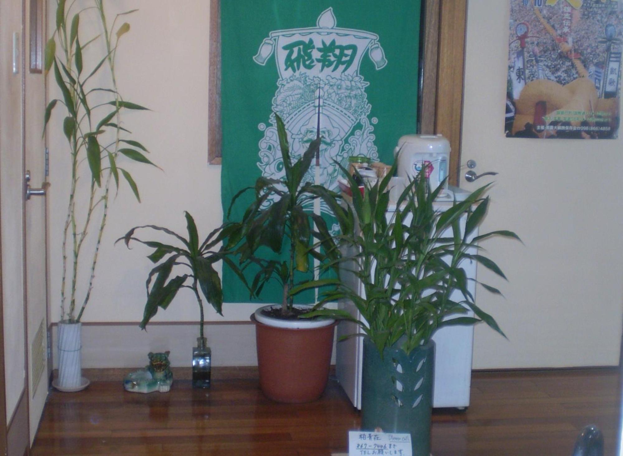 Hostel Hakuseiso Naha Eksteriør billede