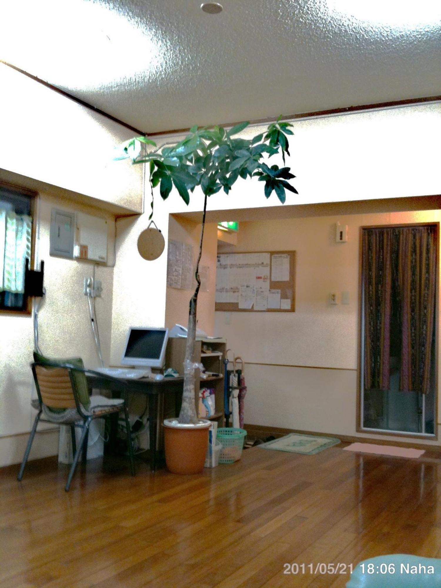 Hostel Hakuseiso Naha Eksteriør billede